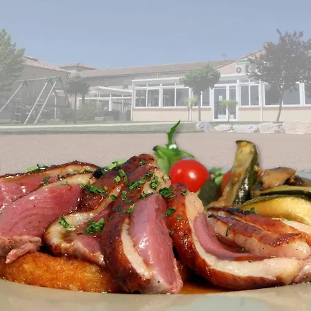 Logis - Du Pastel - 3 étoiles Et Restaurant Nailloux