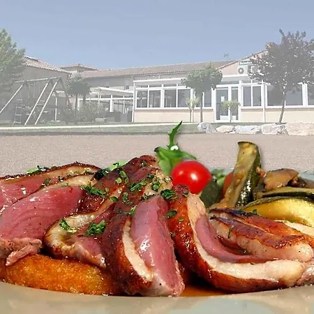 Hotel Logis - Du Pastel - 3 Etoiles Et Restaurant 3*
