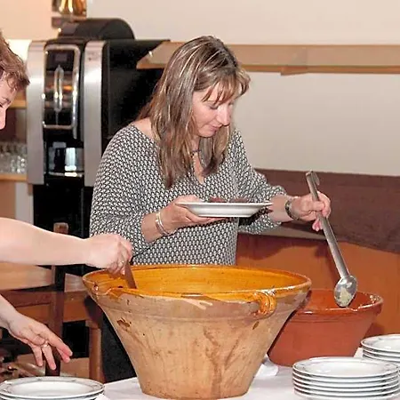 Hotel Logis - Du Pastel - 3 Etoiles Et Restaurant 3*